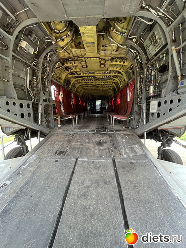 Самолёт внутри, альбом: Botanical garden, Alabama