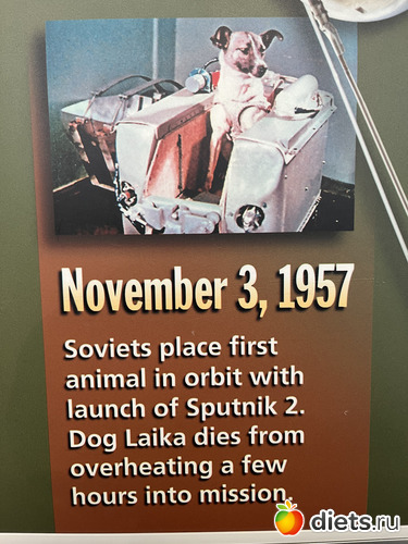 39 : Botanical garden, Alabama