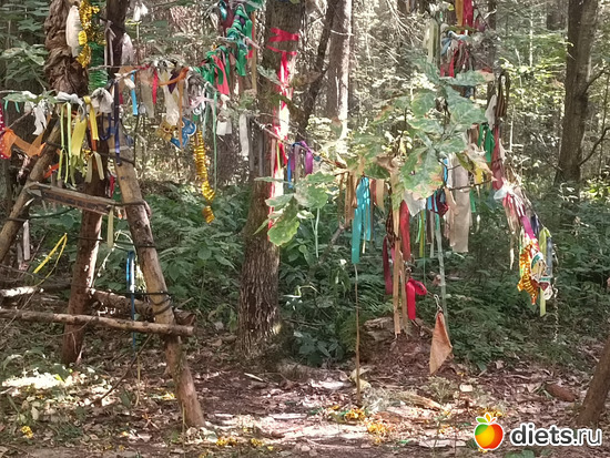 Дерево желаний (дубок и козлы), альбом: Путь в Лавру. Дни 5-6.