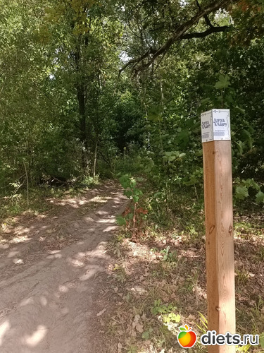 Стоб, почти верстовой, альбом: Путь в Лавру. Дни 5-6.