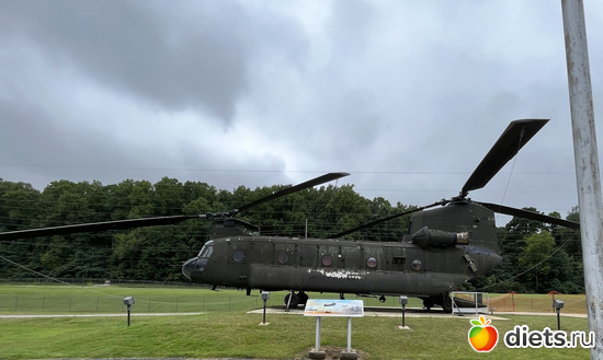 46 фото: Botanical garden, Alabama