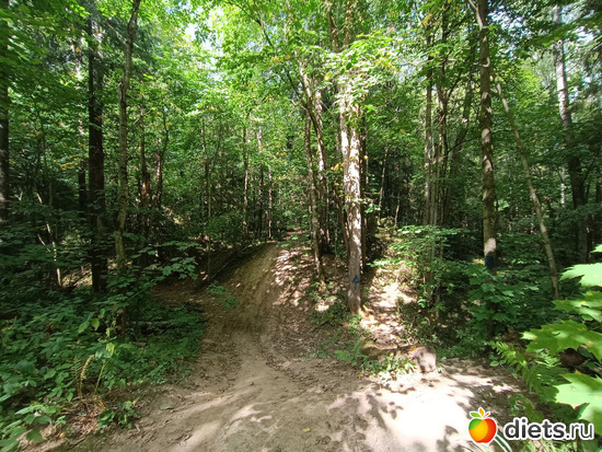 Большой овраг, альбом: Путь в Лавру. Дни 5-6.