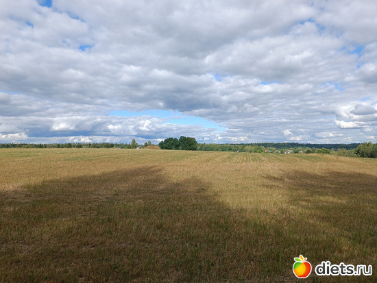 Выхожу в поля, альбом: Путь в Лавру. Дни 5-6.