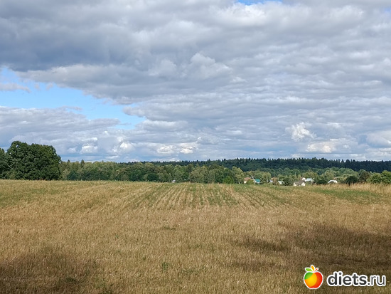 Вон там вдале Мураново, альбом: Путь в Лавру. Дни 5-6.