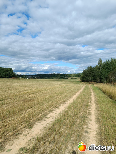 Еще немного..., альбом: Путь в Лавру. Дни 5-6.