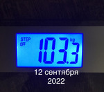 Худею. День 13