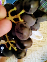 Вес остался прежним!)