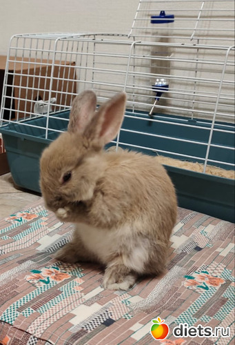  1 -  ,  ,  -     .  ., : 100  &quot; &quot;