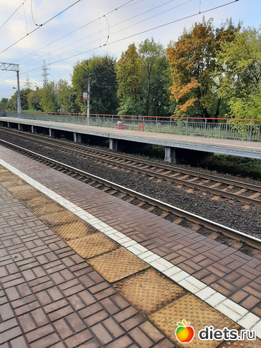 3 фото: Осень 2022