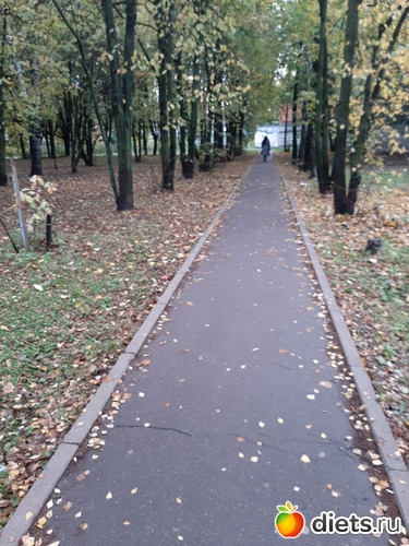 5 фото: Осень 2022