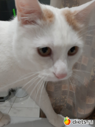 7 фото: Осень 2022