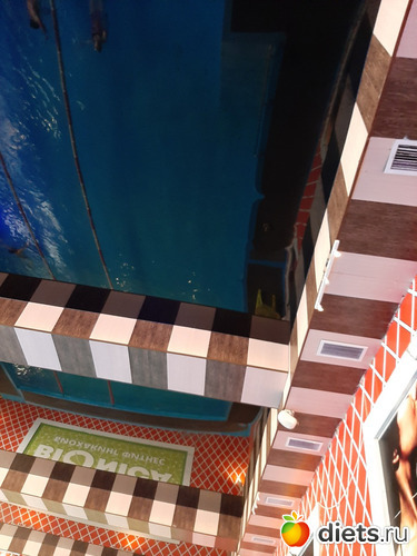 17 фото: Осень 2022