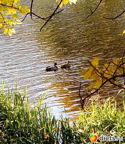  5 27.09.22 - ......     , : 100  &quot; &quot;