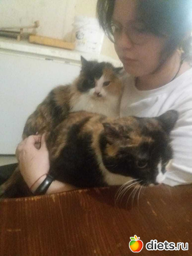 День 4... Наши новые питомцы, альбом: 100 дней счастья