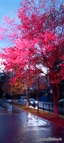  8 - 30.09.22....   &quot;&quot;), : 100  &quot; &quot;