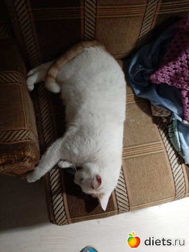 22 фото: Осень 2022