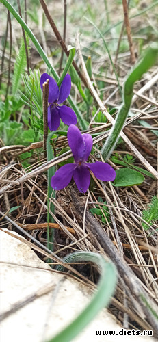 36 фото: 2023 Походы+