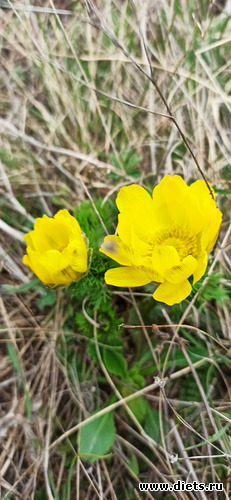 37 фото: 2023 Походы+