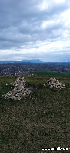 38 ����: 2023 ������+