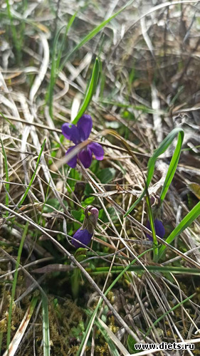 40 ����: 2023 ������+