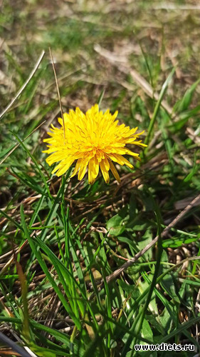 41 фото: 2023 Походы+