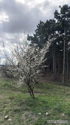 43 ����: 2023 ������+