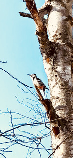 Возвращаюсь обратно.