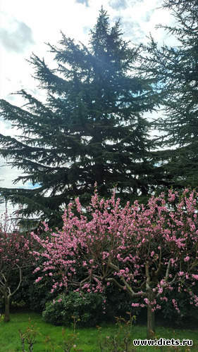 44 фото: 2023 Походы+