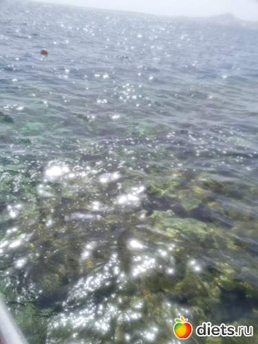 4 ����: ������ 2023