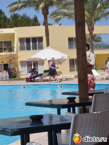 ������ � ���� ���� ����� ����� ���, ������: ������ 2023