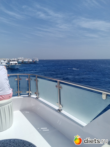 Тусовка из яхт, альбом: Египет 2023