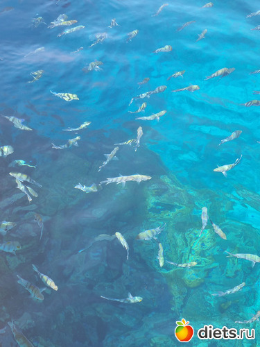 11 фото: Египет 2023