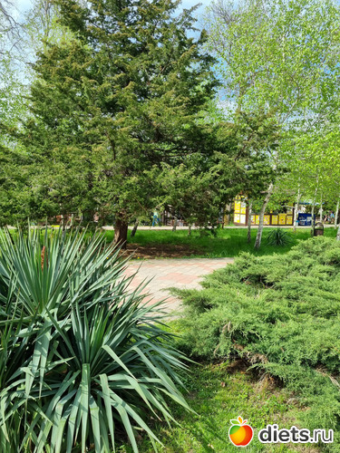 7 фото: Прогулки вогруг города