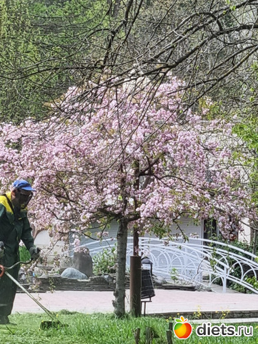 13 фото: Прогулки вогруг города