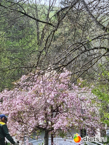 14 фото: Прогулки вогруг города