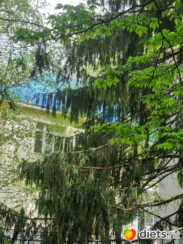 15 фото: Прогулки вогруг города