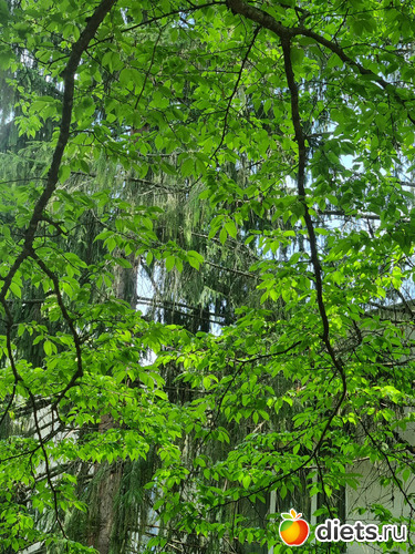 17 фото: Прогулки вогруг города