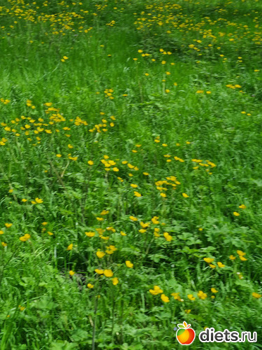 23 фото: Прогулки вогруг города