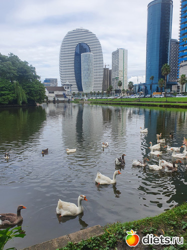 12 фото: Грузия 2022