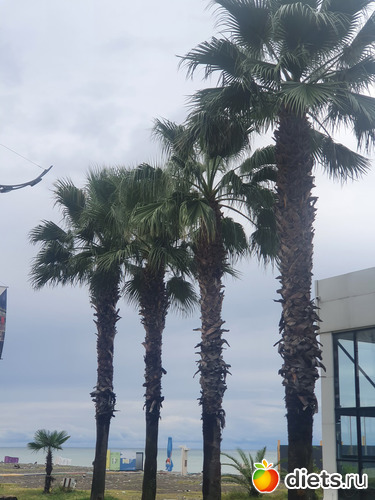 14 фото: Грузия 2022