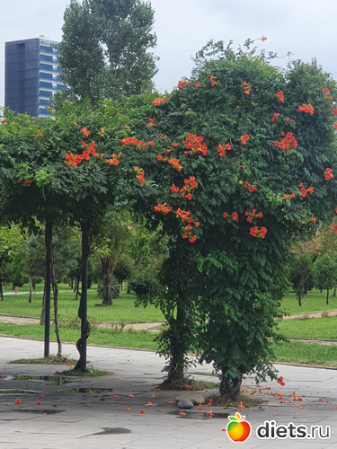 15 фото: Грузия 2022