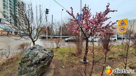 красиво, альбом: Астана Зима/весна/лето 2023