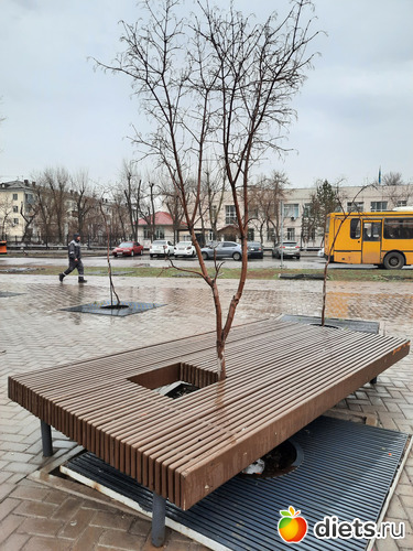 ����� �����, ������: ������ ����/�����/���� 2023