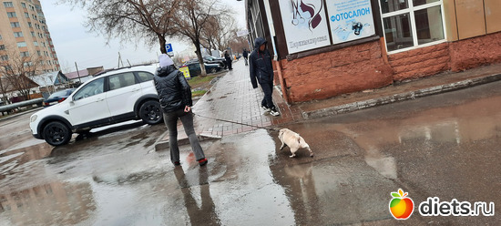 собакены тоже гуляют, альбом: Астана Зима/весна/лето 2023