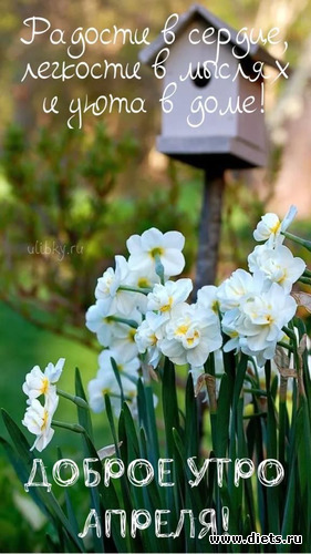 27 фото: Зима 2022 - 2023