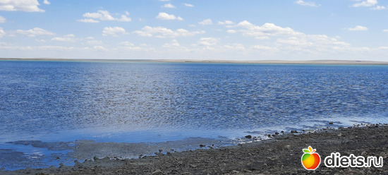    ,  ,  ))), : // 2023