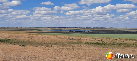  ,    ,   , : // 2023