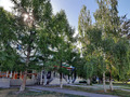 и сосны и берёзы, всё есть в нашем городе