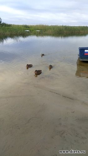 3 ����: ����� �������