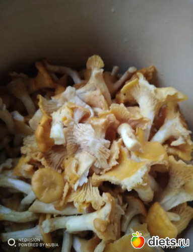 Лисички, альбом: Озеро Селигер